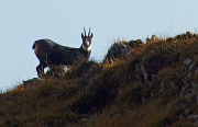 23 in attenta osservazione...